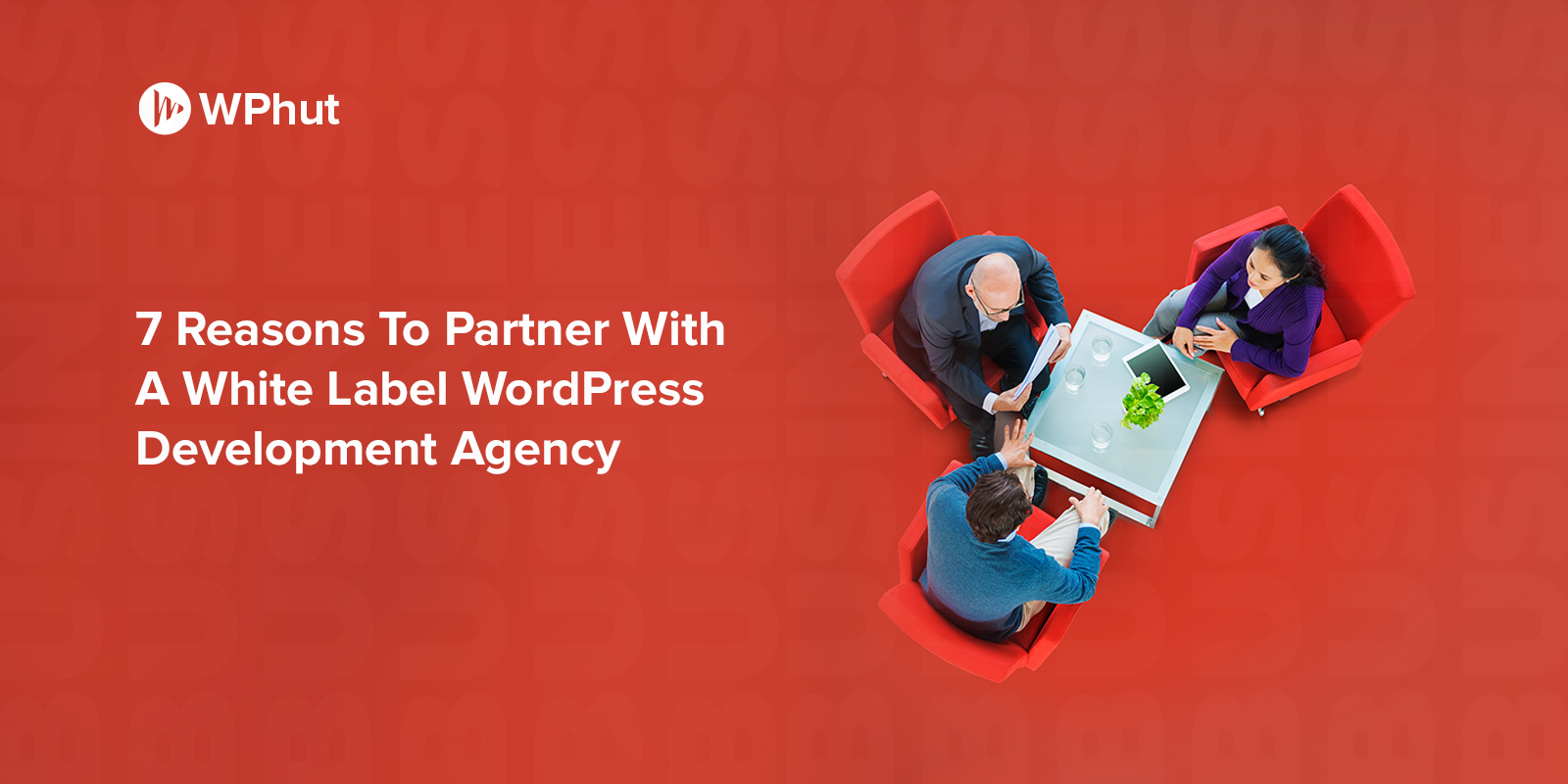 white label WordPress development agency